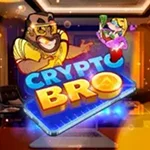Crypto Bro
